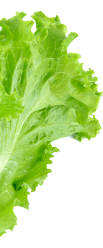 barinas cachapas carne cochino asada vara hamburguesa restaurant